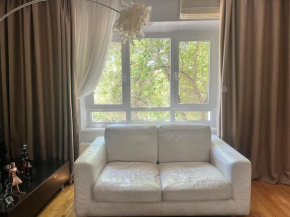 Charming apartment/king size bed